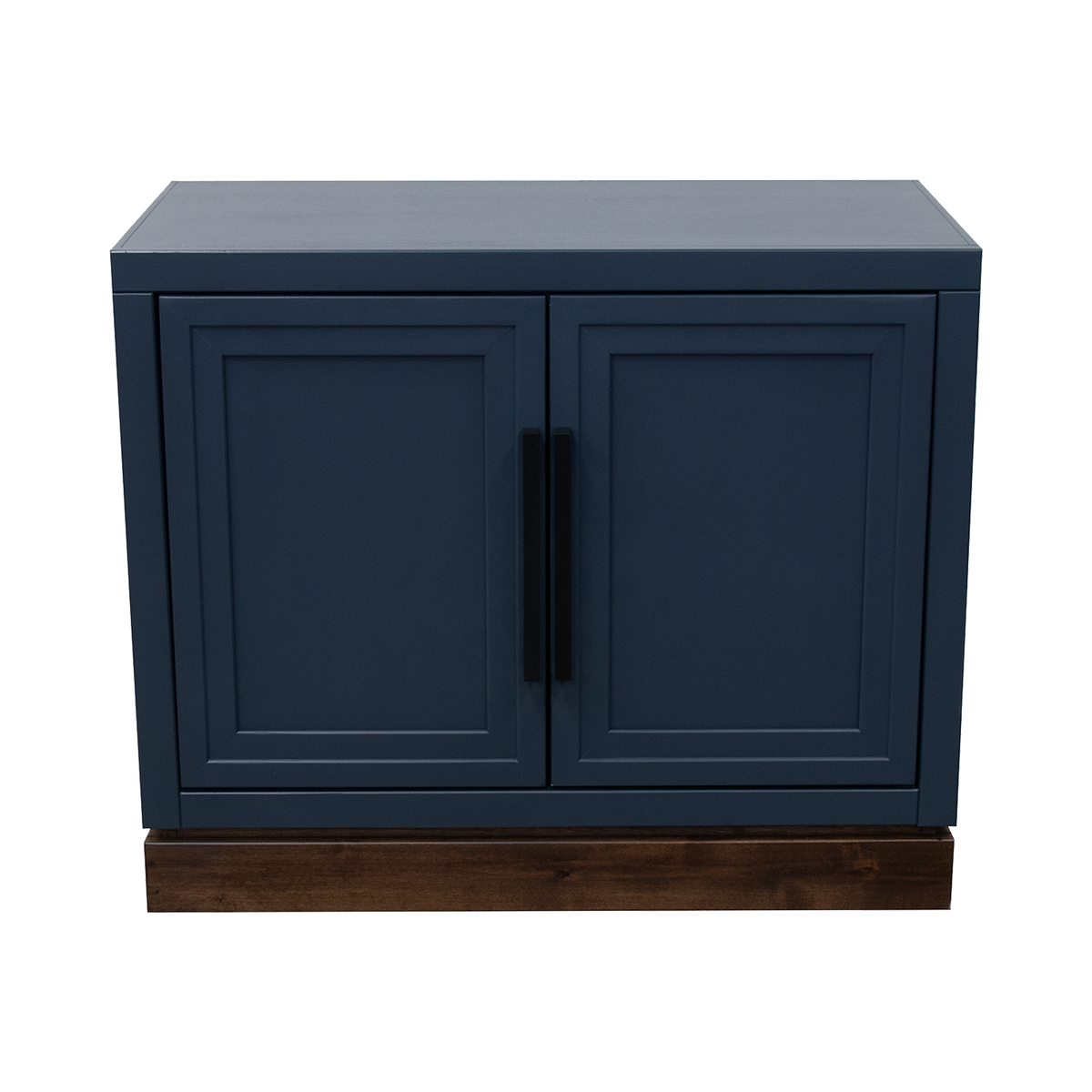 Oceanside 2 Door Modular Cabinet | Oceanside Collection – Realcozy